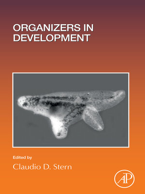 cover image of Organizers in Development